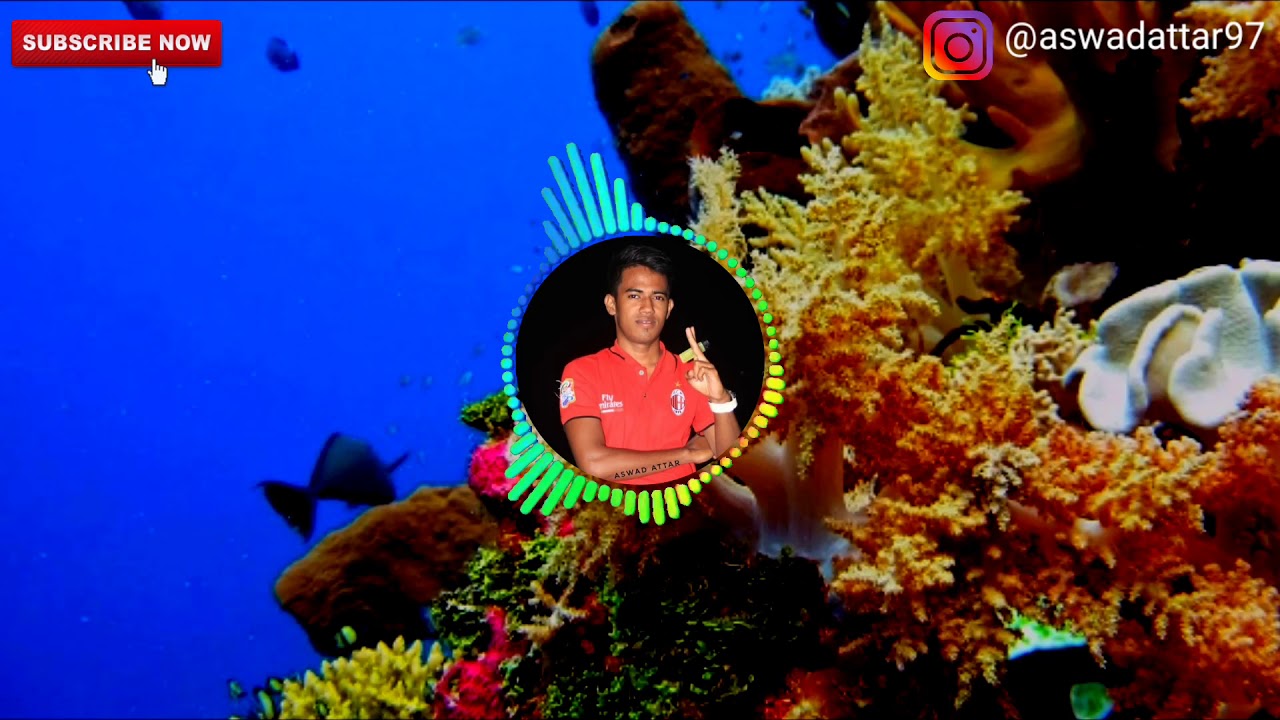 Lagu Joget Wakatobi || lirik lagu Kende-Kende Nuranda