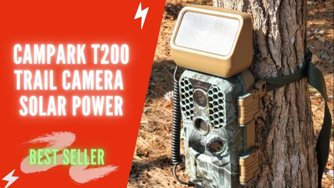 Обзор и настройка фотоловушки Campark T200 в 2021 году | Инструкция по использованию фотоловушки ...