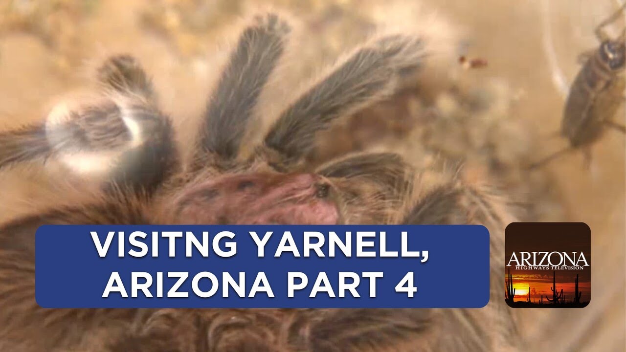 Visiting Yarnell - Part 4