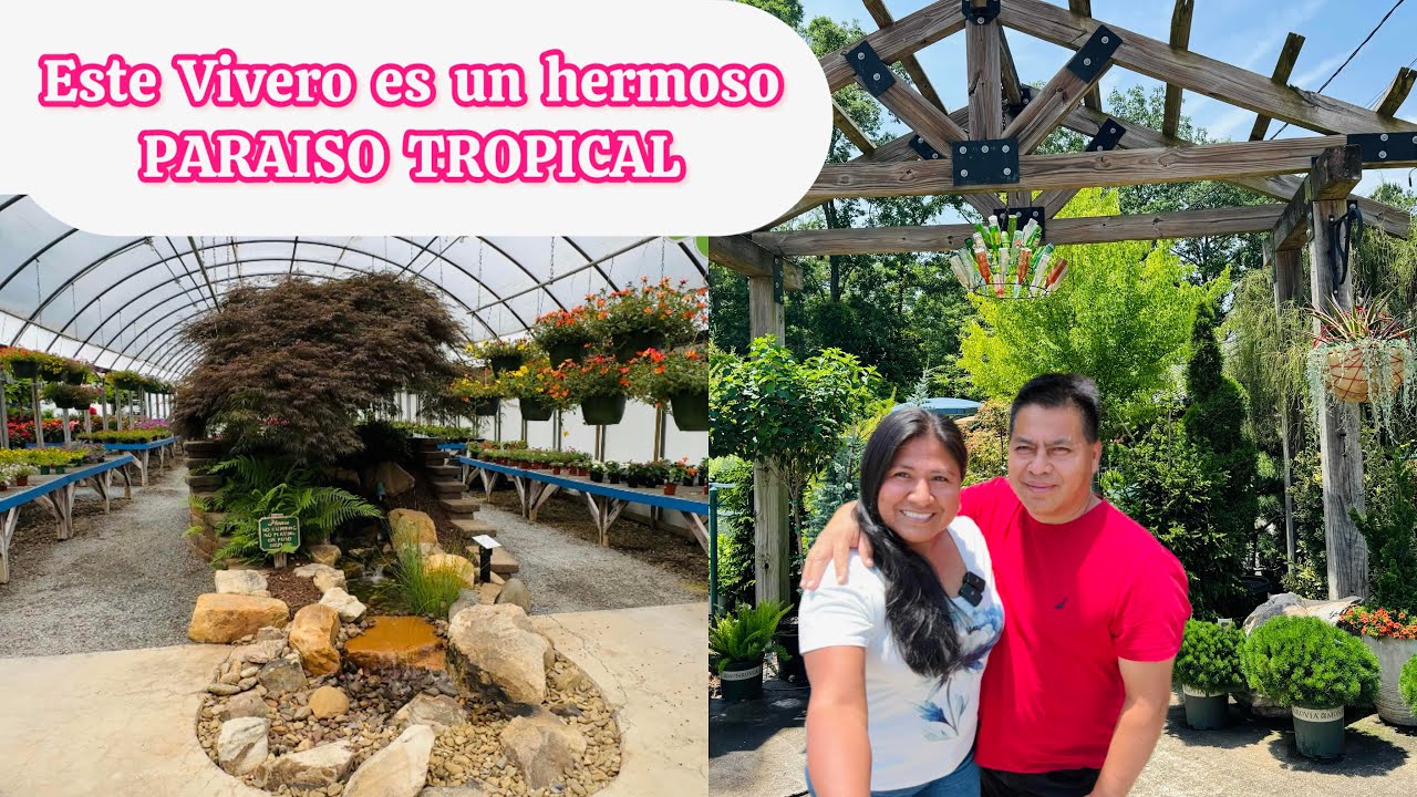 Gran variedad de plantas en Southern Roots Garden center NC  hermoso paraíso tropical 