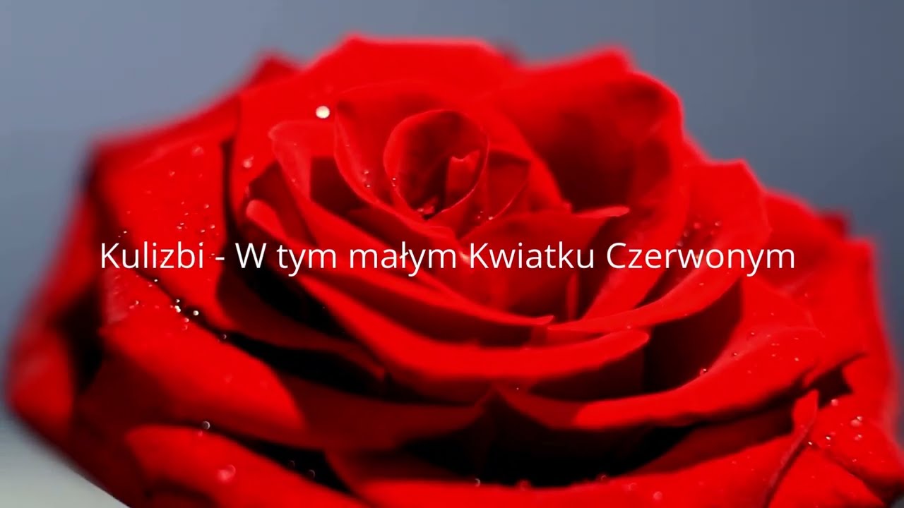 W tym malym Kwiatku Czerwonym