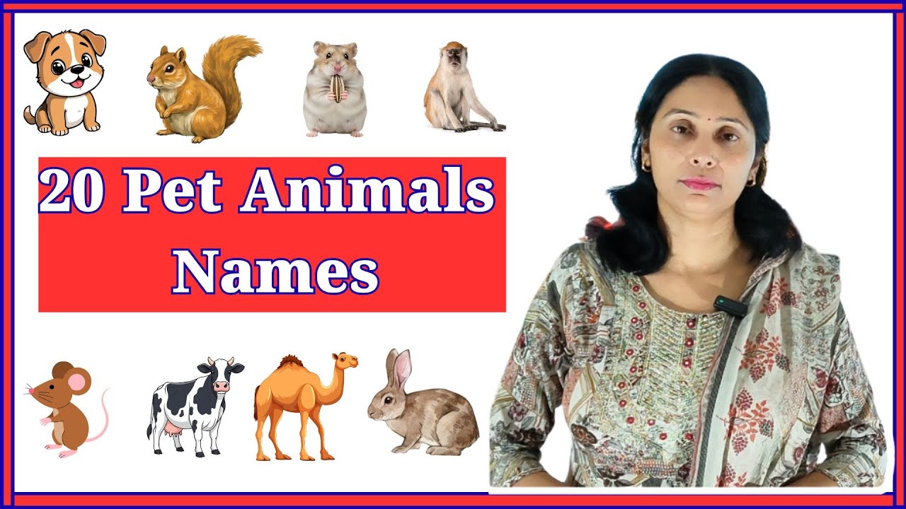 20 Pet Animals Name in  English and Hindi | Animals name for kids | Animals name 