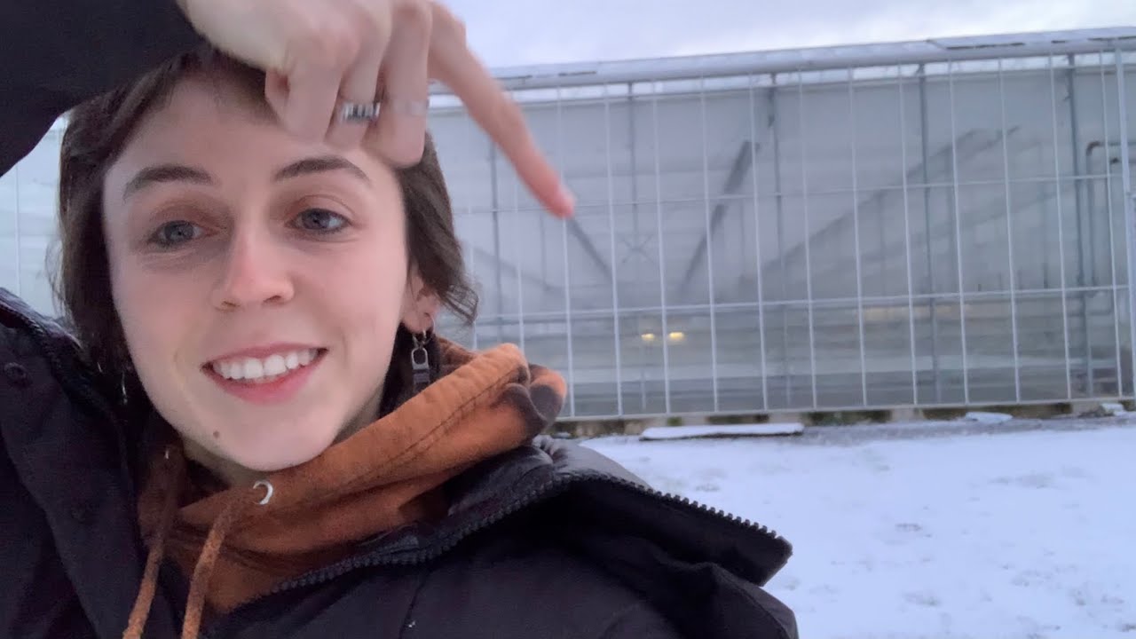 How to clean a 5 acre Tomato greenhouse! Season 21/22