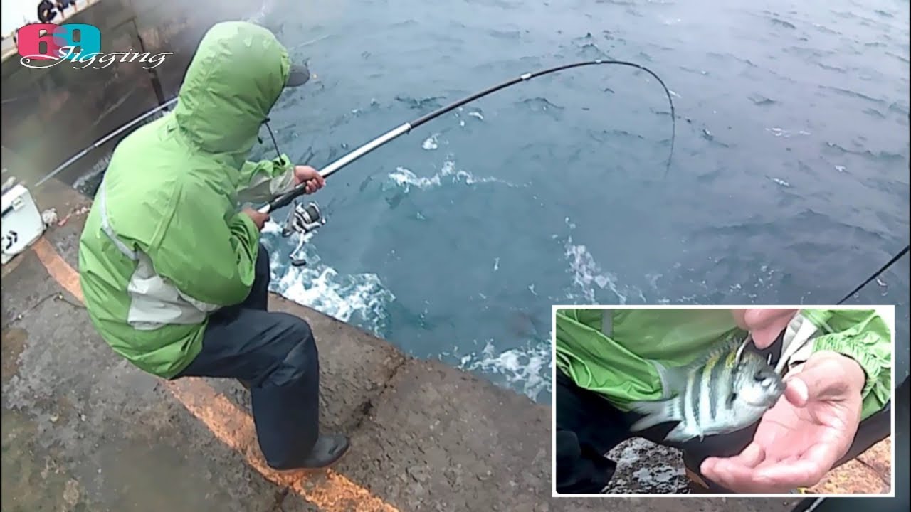 [磯釣沉底]雀鯛活餌釣紅甘 ... 2018/11/台灣69J釣魚俱樂部(69J Fishing Club)