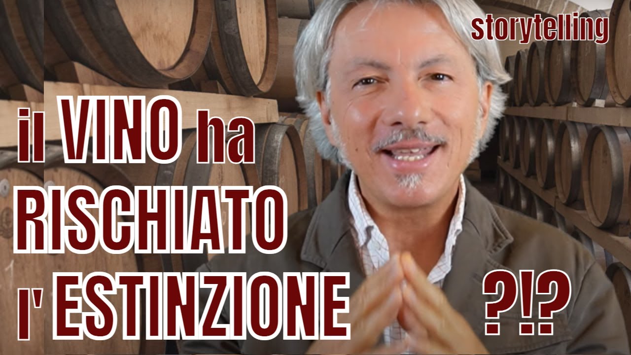 IL VINO HA RISCHIATO L'ESTINZIONE? (il dramma della Fillossera)