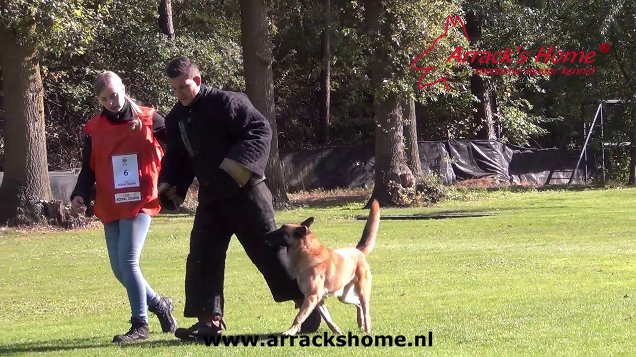 KNPV objectbewaking keuring Femke Peeters met Jackie