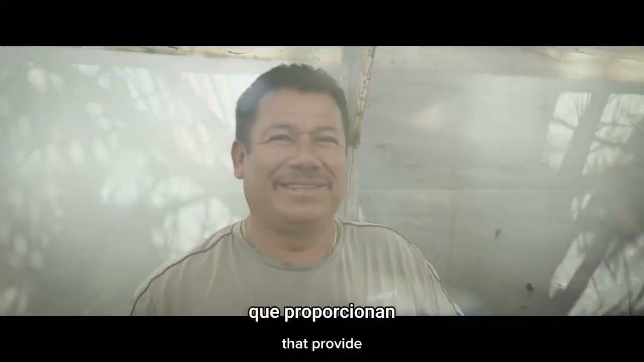 #DialógosCPM- Episodio Gobernanza