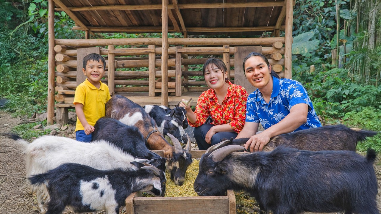 Caring for Newborn Goats in the Deep Forest - Simple Rural & Survival Life | SURVIVAL ALONE