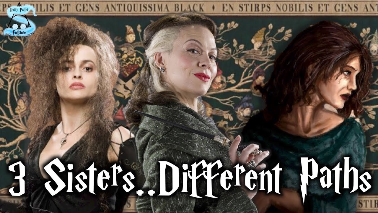 Sisters Of House Black - How Their Choices Shaped Their Futures