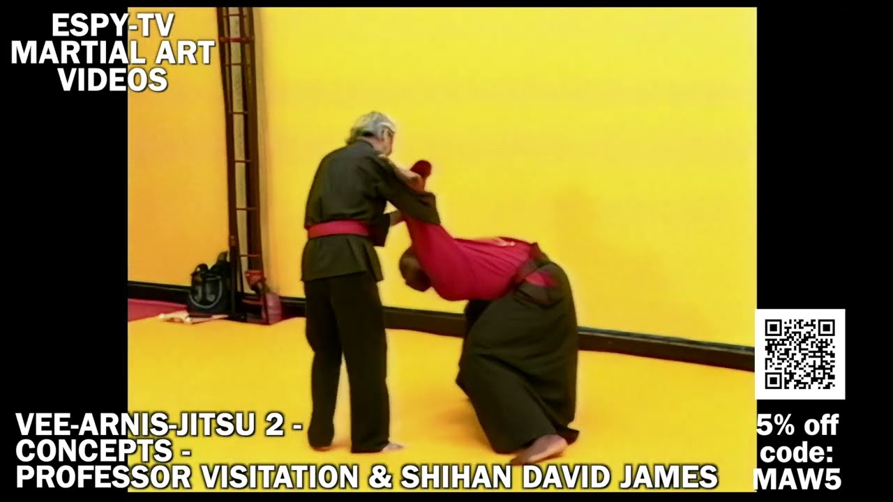 VEE-ARNIS-JITSU 2 - CONCEPTS - PROFESSOR VISITATION & SHIHAN DAVID JAMES