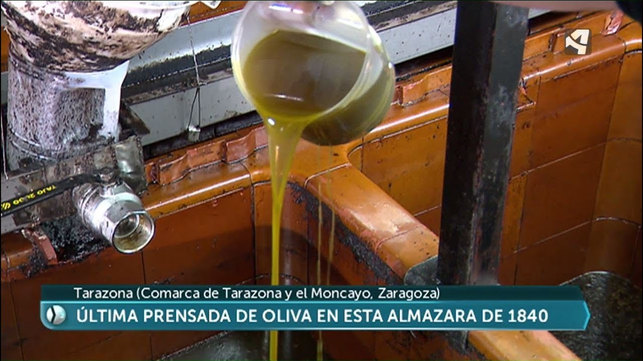 Prensado de oliva a la antigua usanza