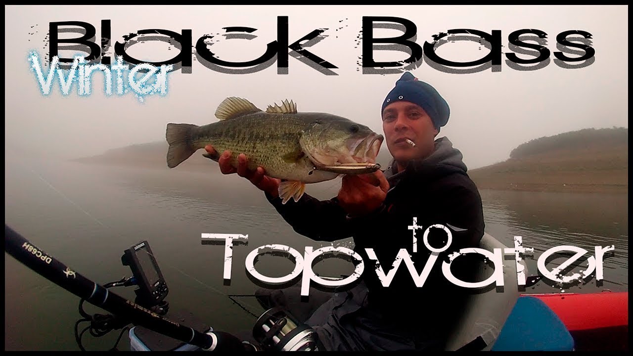 Barbel and Black Bass Topwater Fishing December 2016