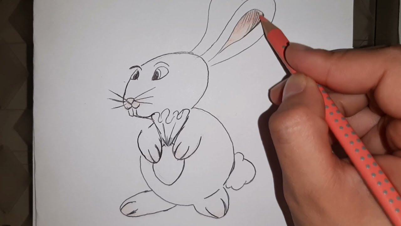 Como desenhar um coelho