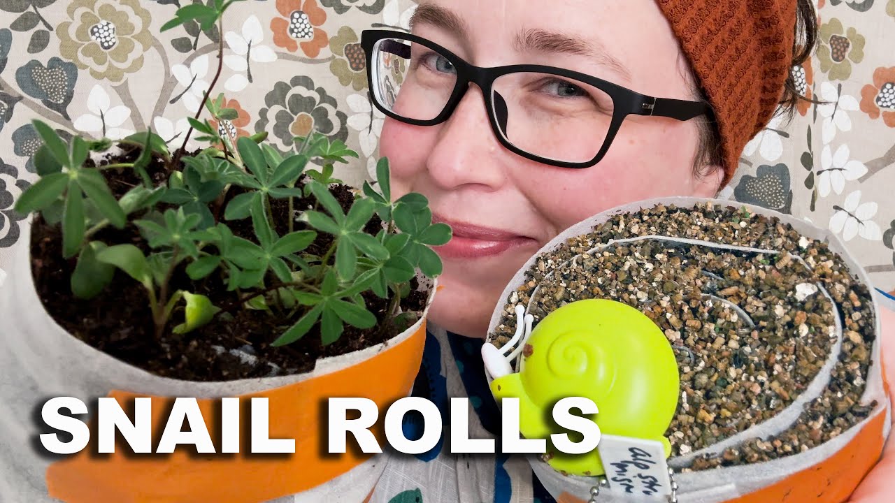 Seed Snails ULTIMATE GUIDE: Insights from 14 Viral Gardening Channels! 🌱🐌