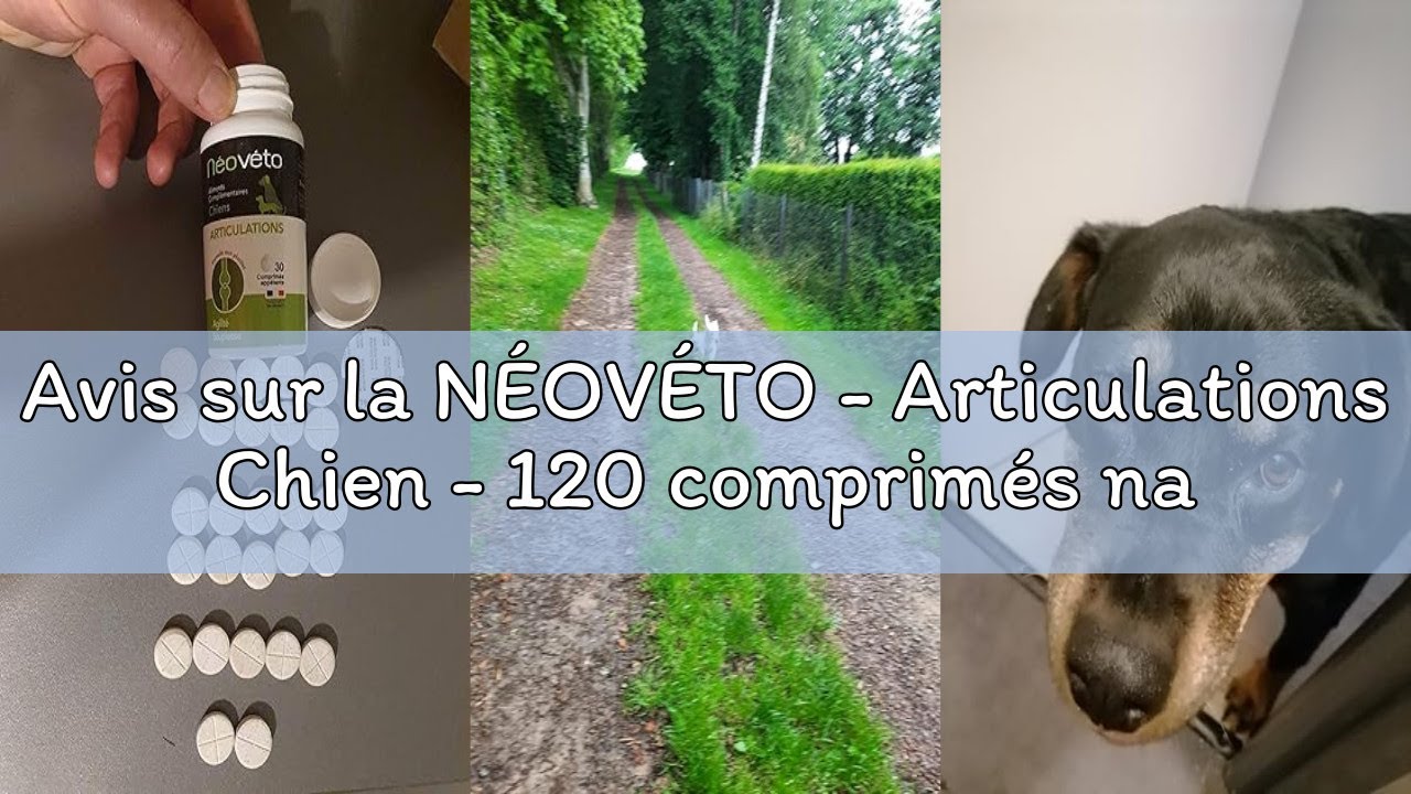 Avis sur la NÉOVÉTO - Articulations Chien - 120 comprimés naturels - Arthrose Chien - Anti-inflammat