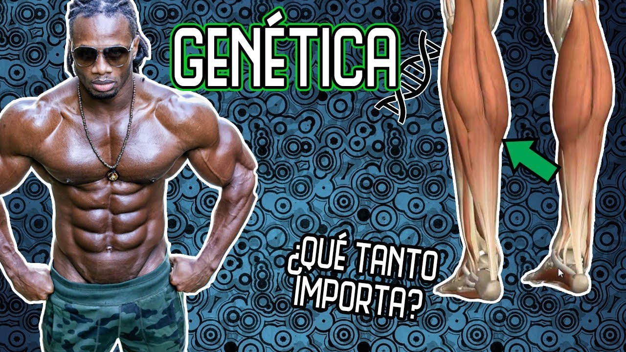 GENÉTICA: ¿EXCUSA DE MEDIOCRES O CRUDA REALIDAD? [Ciencia]