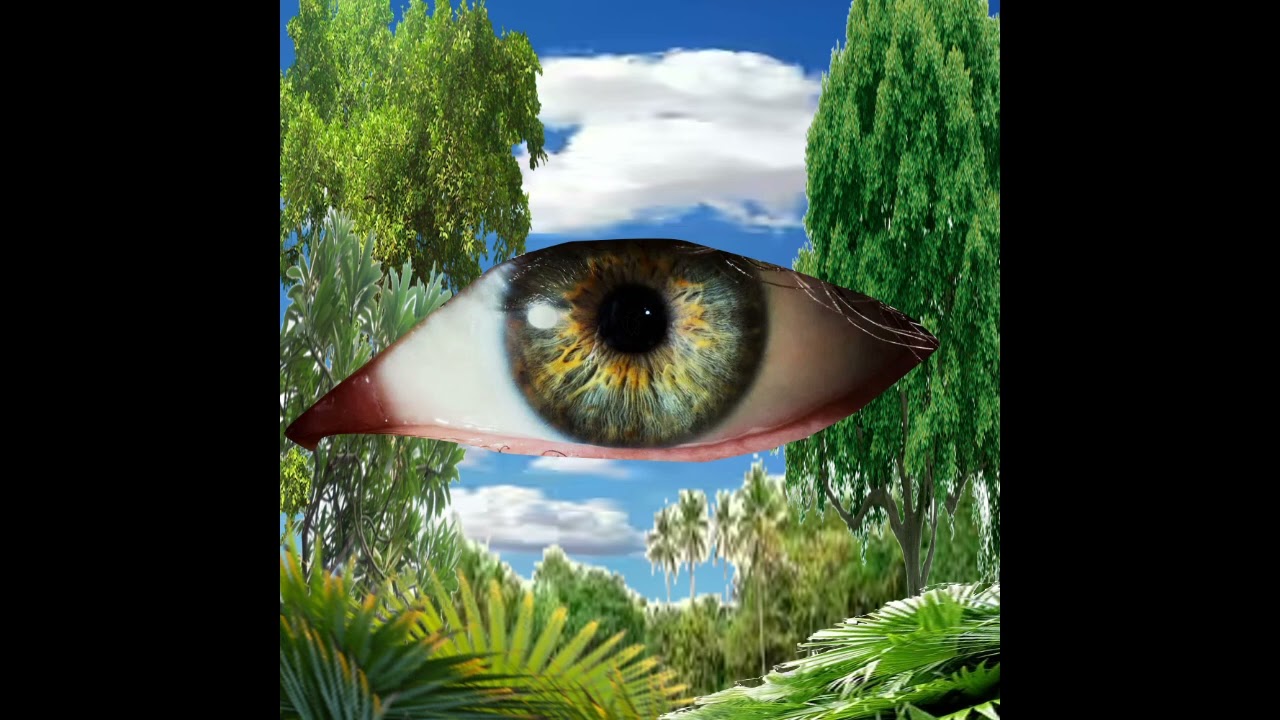 jungle boss (offal audio)