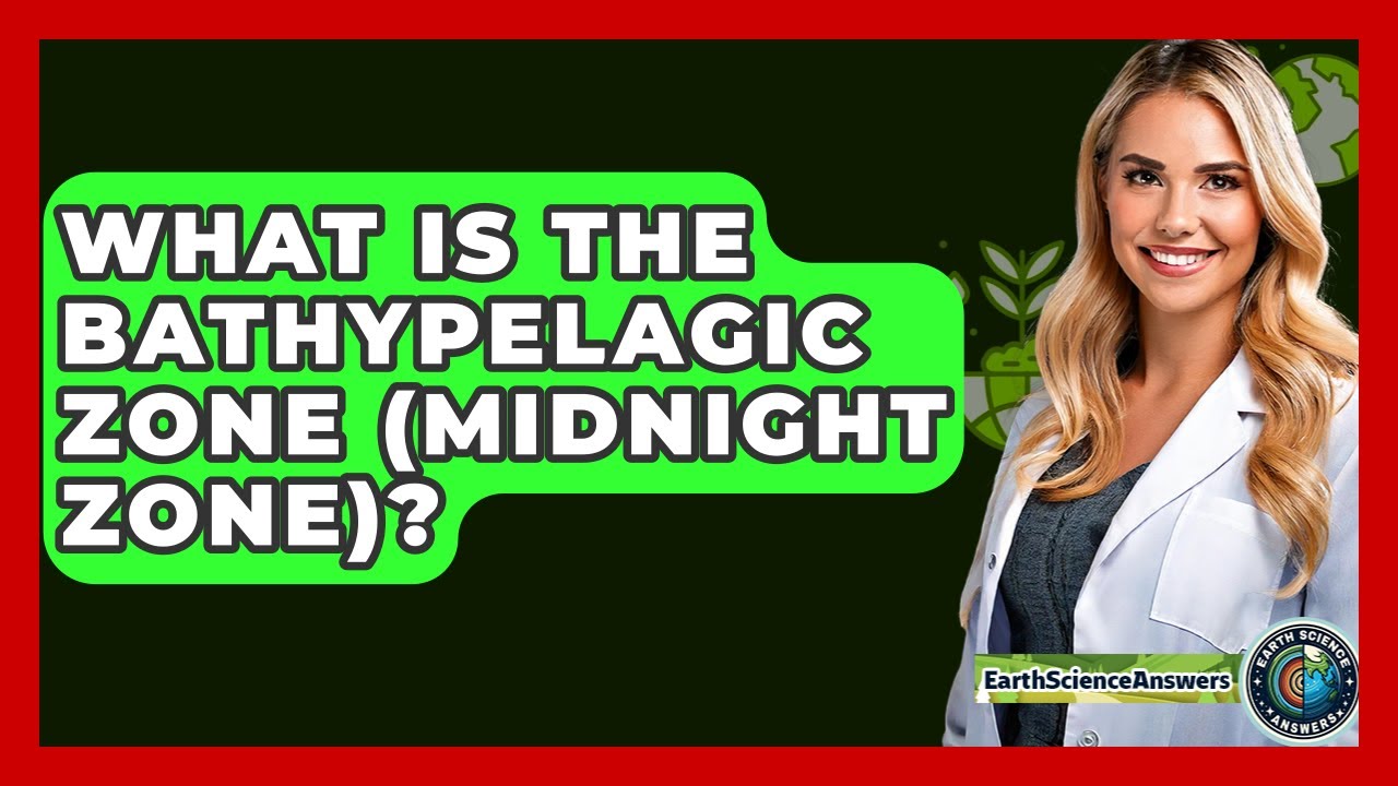 What Is The Bathypelagic Zone (midnight Zone)? - Earth Science Answers