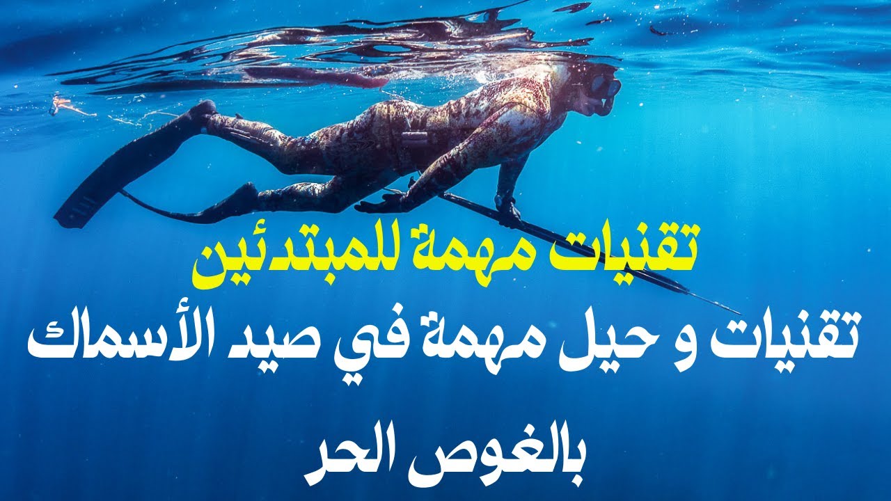 تقنيات و حيل مهمة في صيد الأسماك بالغوص الحر 👍🏼تقنيات مهمة للمبتدئين😍