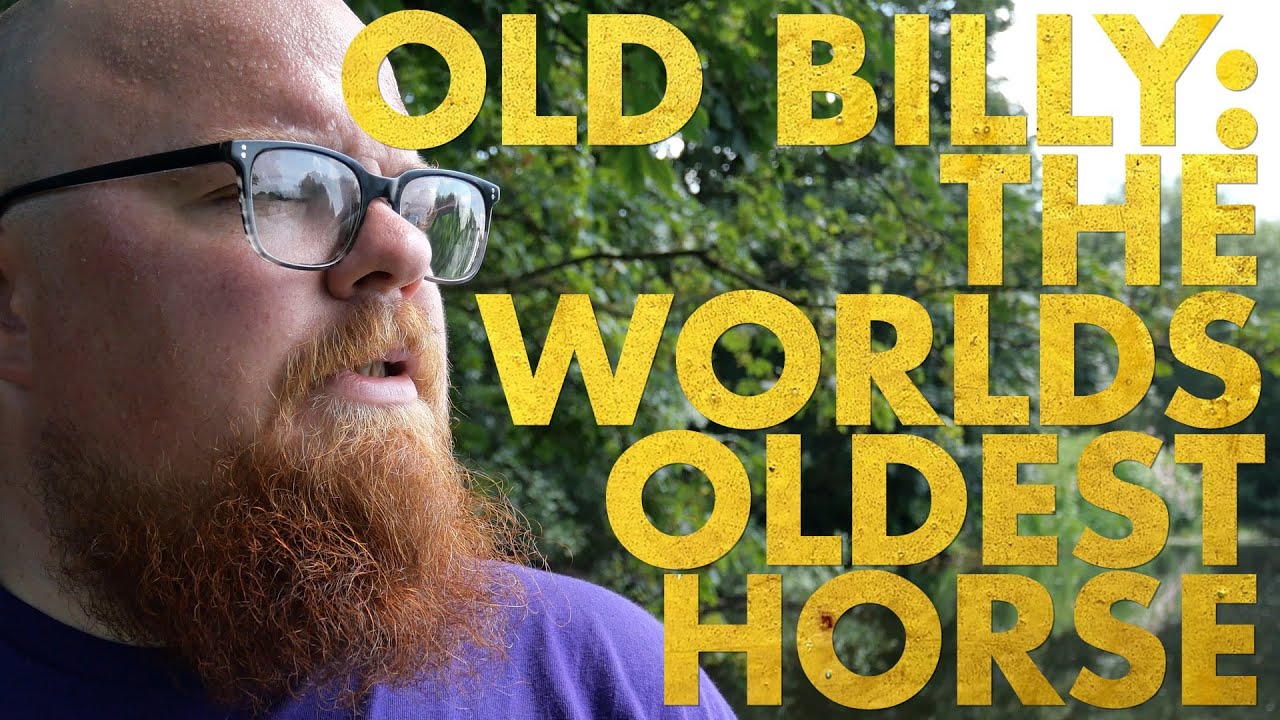 Bimble: Old Billy: Warrington Born and Bred