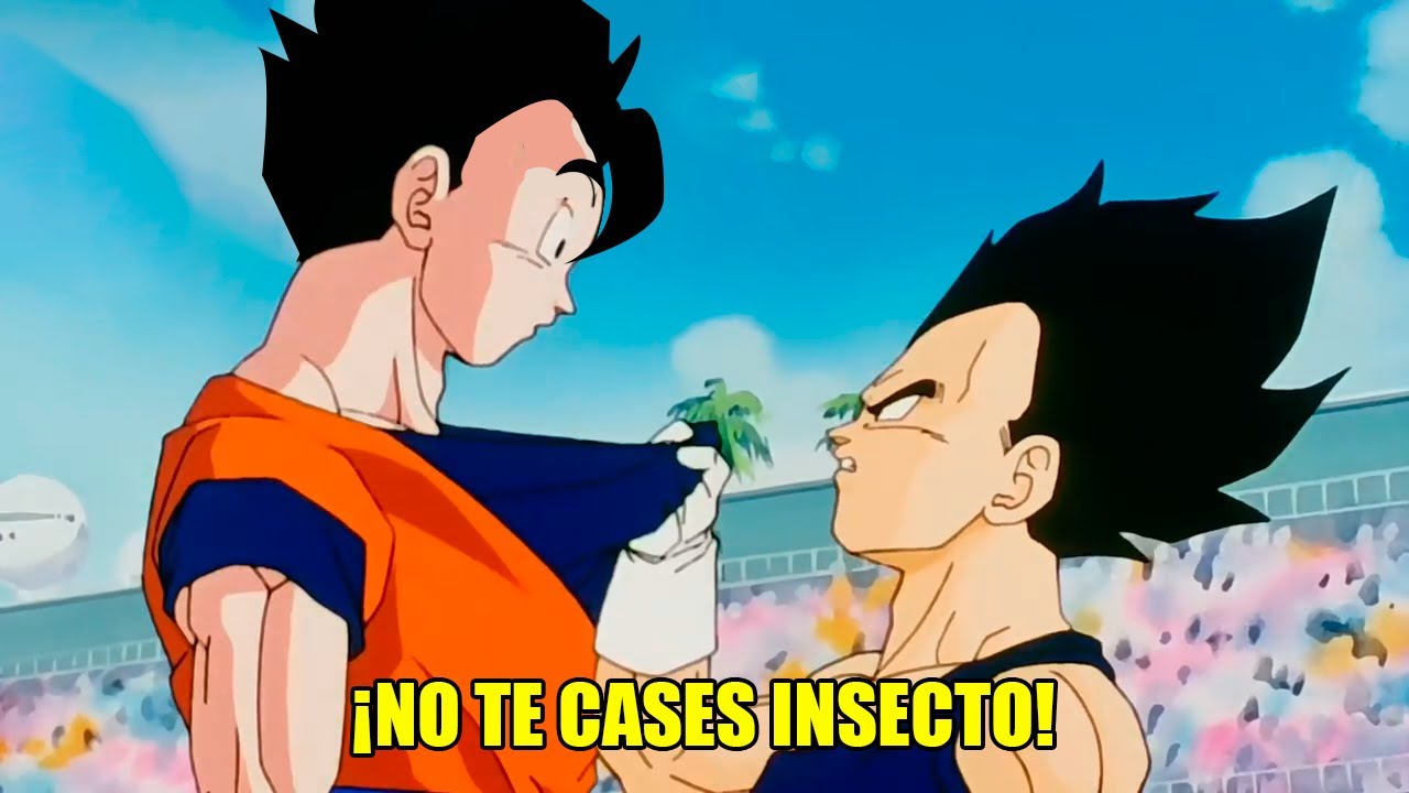 La CURIOSA RELACION Entre Vegeta Y Gohan | @Purachilena