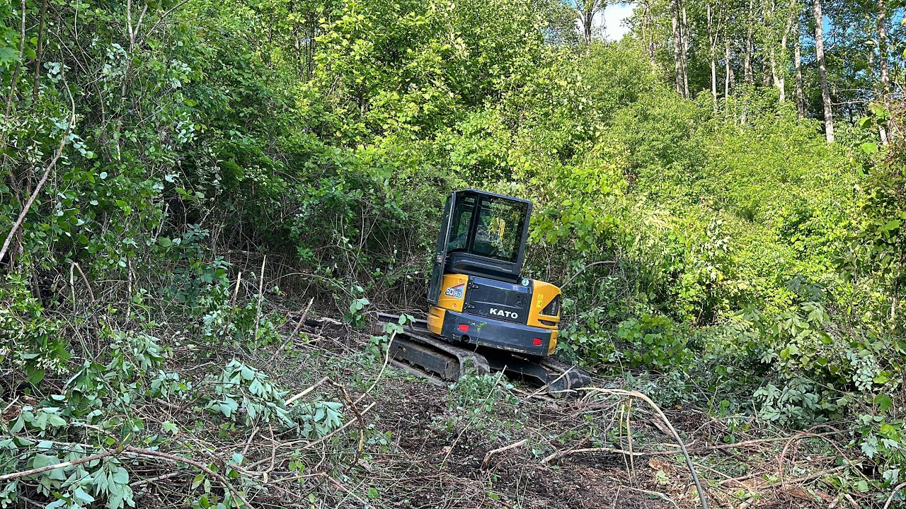 Clearing Land with KATO HD60V5 Mini Excavator