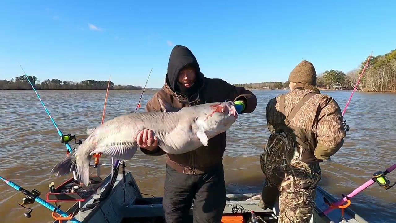 Weiss Lake Catfish Tournament Win, and big fish!