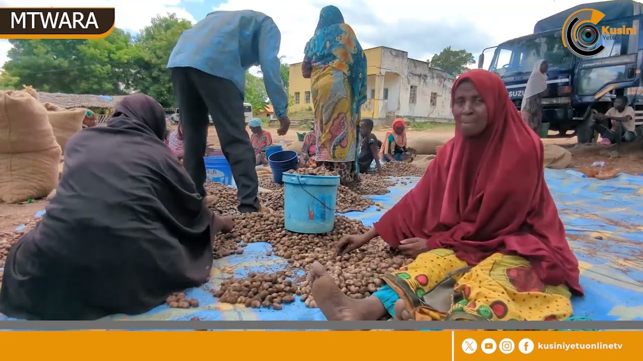 CBT  YAKANUSHA WAKULIMA WA KOROSHO KULIPISHWA TOZO