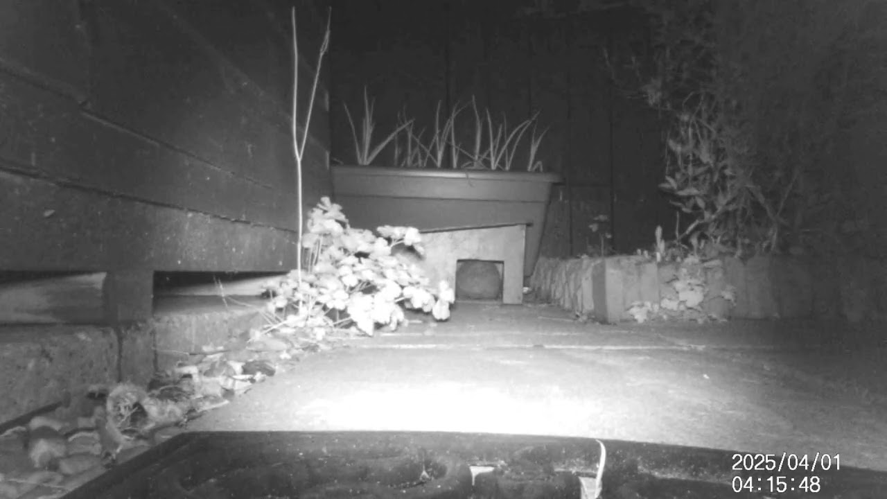 Moving on in to the main feeding chamber