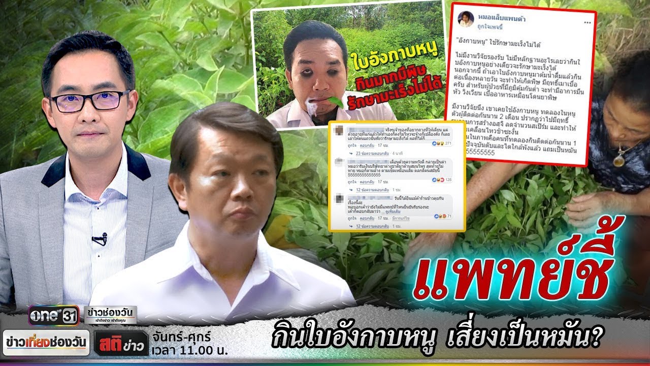 แพทย์ชี้ กินใบอังกาบหนู เสี่ยงเป็นหมัน? | สติข่าว | ข่าวช่องวัน | one31
