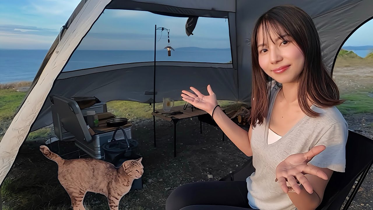 女1人キャンプ中に野良猫が来て可愛すぎた.../海の波音