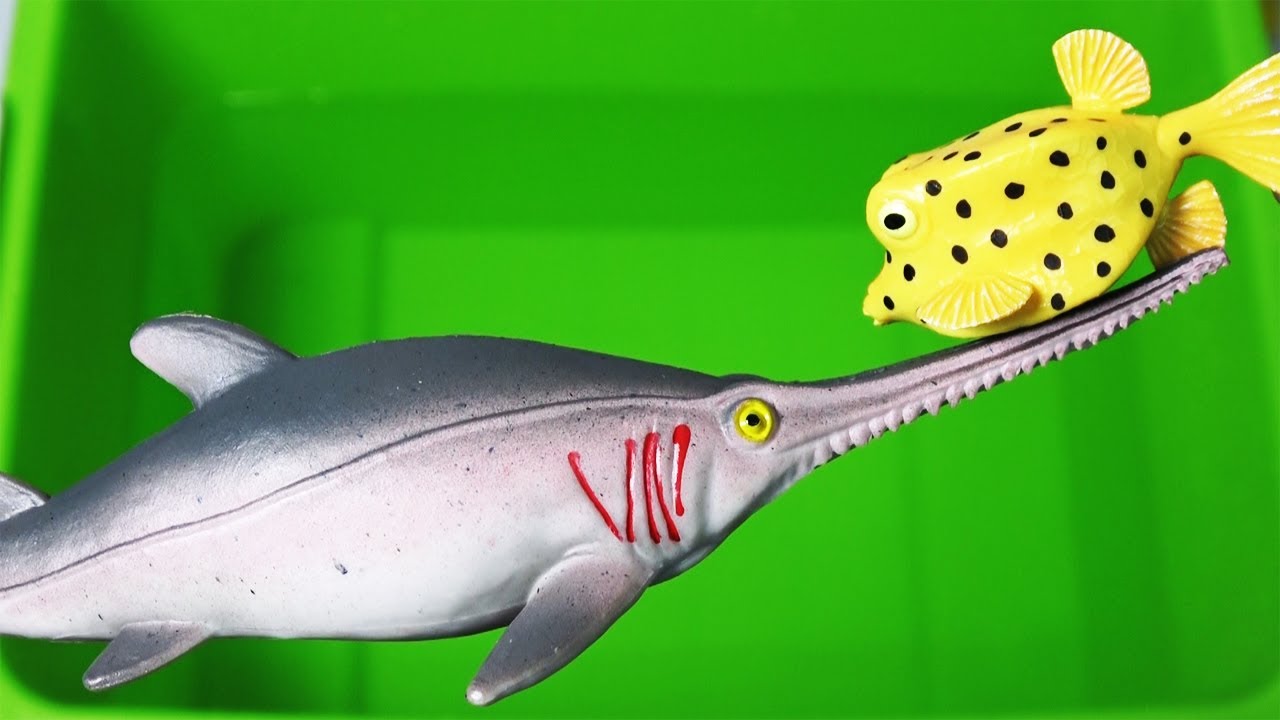 많은 동물장난감들의 생김새를 보고 어떤 동물인지 이름을 영어로 배워봅시다Learn and enjoy english and korean with animal toys for kids