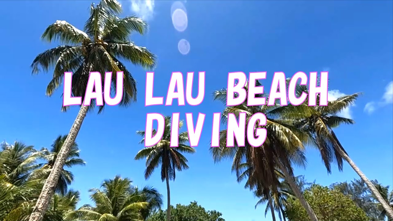 サイパン ダイビング （ラウラウビーチ） SAIPAN DIVING (LAU LAU BEACH)