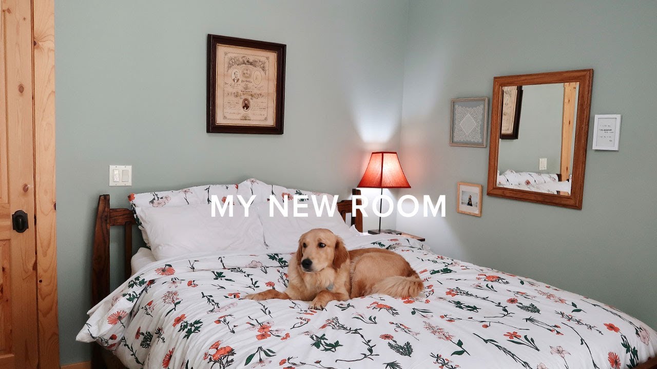 room and bathroom tour 2020
