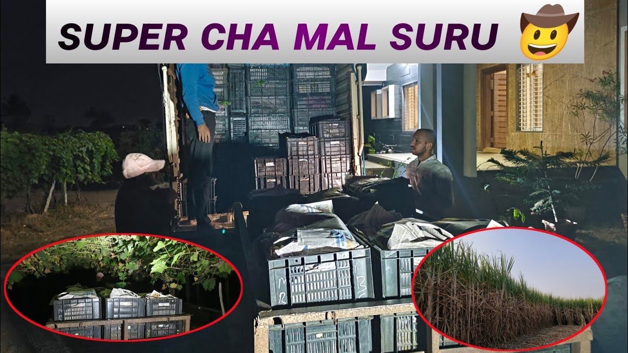 Supar cha n mal suru || mashin testing ||#marathivlog Vlogger