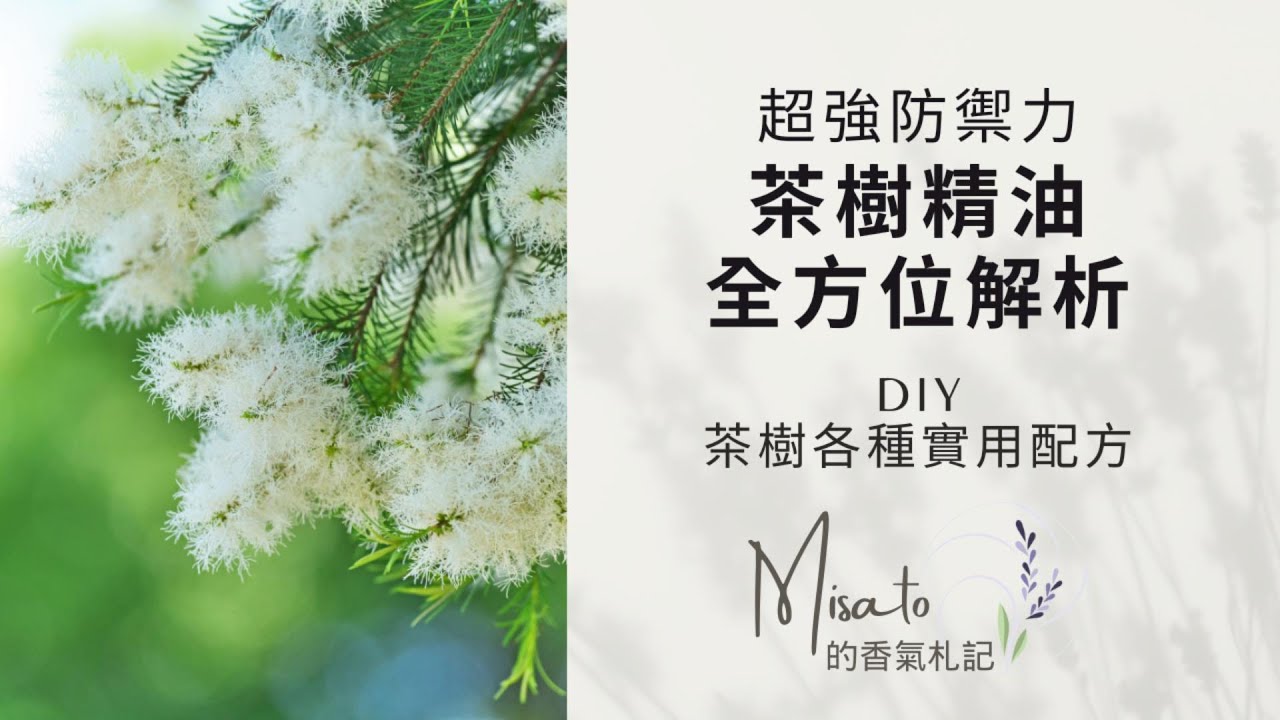 茶樹精油七大功效全解析！沒有養寵物的芳療愛好真該好好來使用！