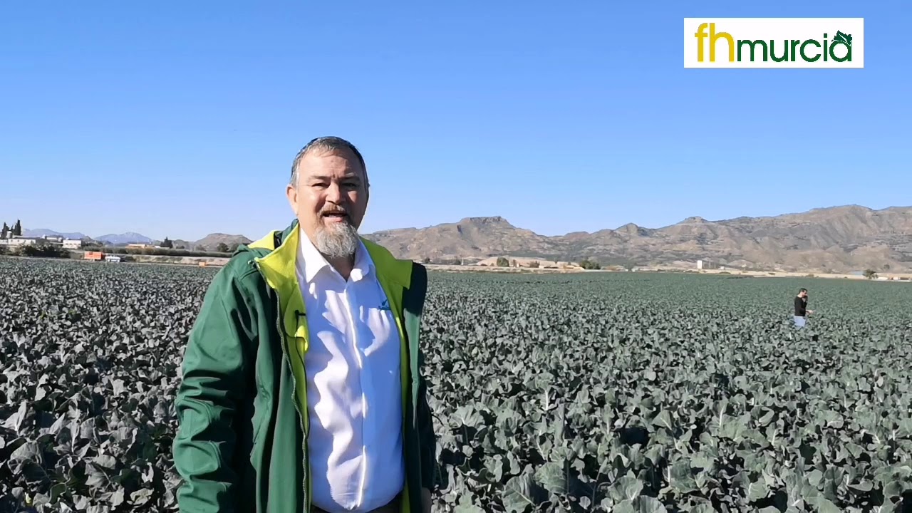 Jornadas de brócoli de Seminis, Bayer en Murcia