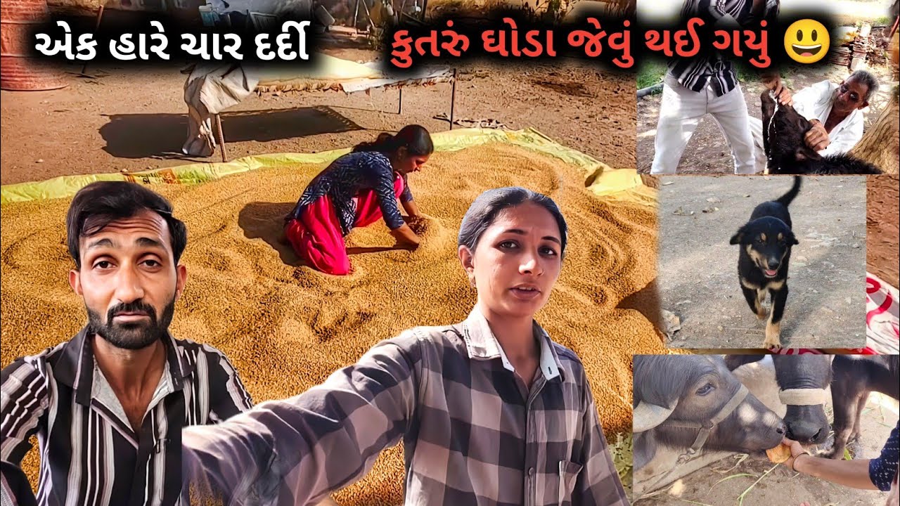 એક હારે ચાર દર્દી અને કુતરું ઘોડા જેવું થઈ ગયું 😃 || R Gujju Vlog || 