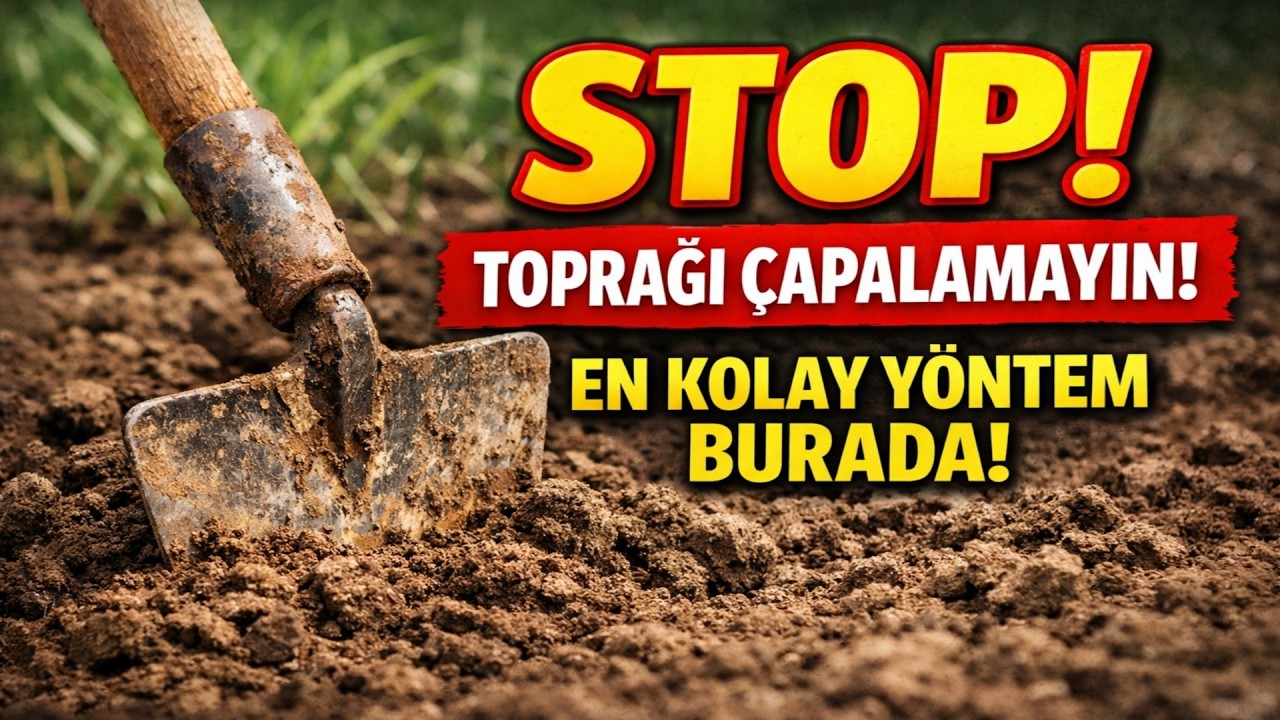 Toprağı Çapalamayı Bırakın! İşte Gelecek Yıl İçin En Tembel (ve En İyi) Yöntem