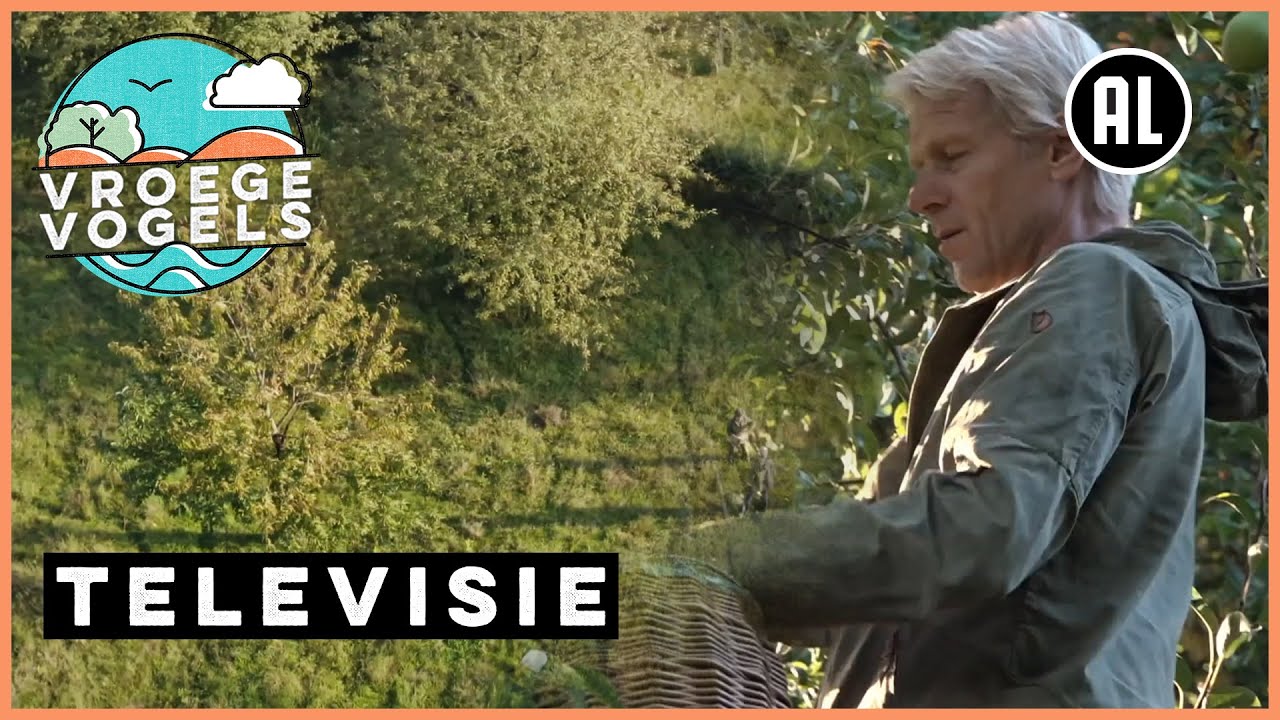 Peren plukken in een hoogstamboomgaard | TV | Vroege Vogels