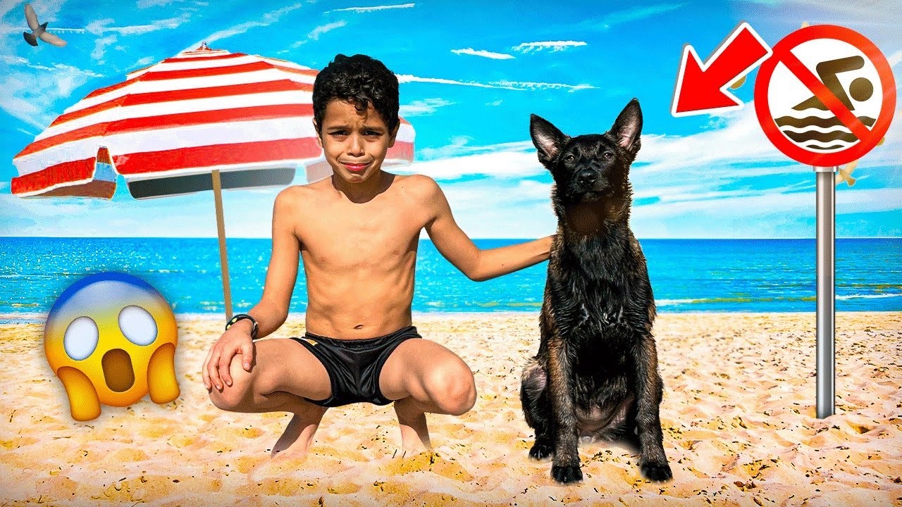 للأسف ممنوع سباحة في البحر 😱😭 لقينا أخطر و أصغر كلب 💔🐕