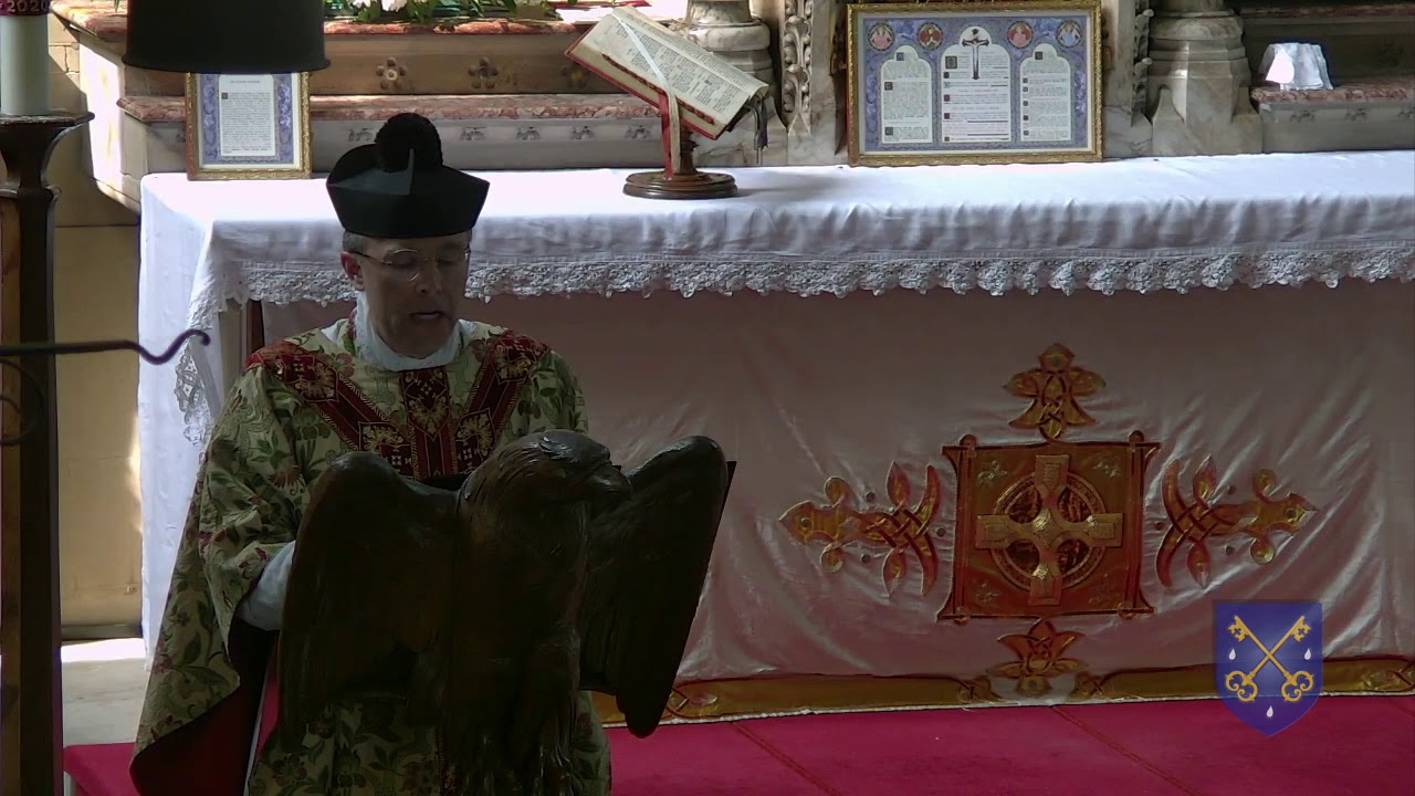 Sermon for Good Shepherd Sunday from Fr. de Malleray, FSSP