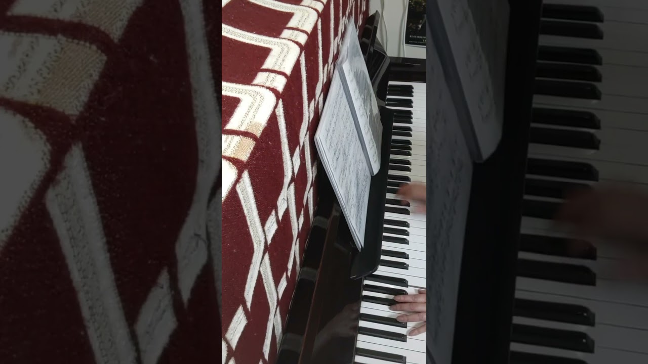 6つの小品 間奏曲 118-2  2026 02 04 帰宅後