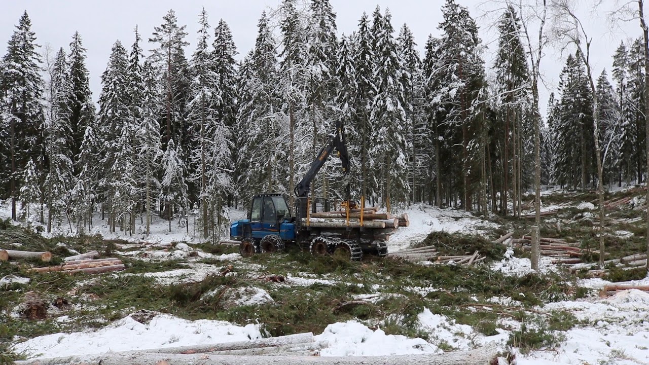 Rottne F13D loading timber