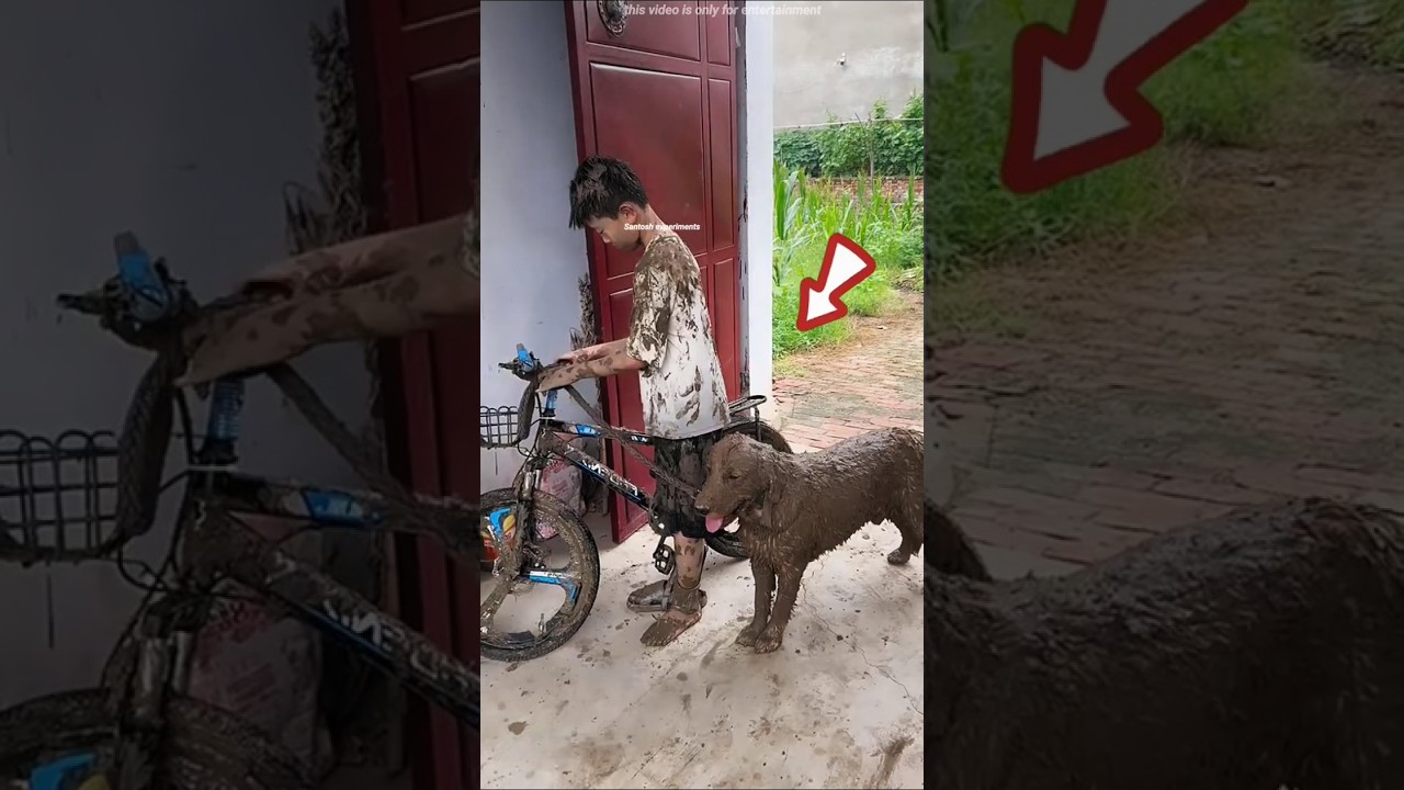 🐶 Boy Bathes Muddy Dog &mdash; But What The Dog Does Next SHOCKED Everyone! 😱 #Shorts
