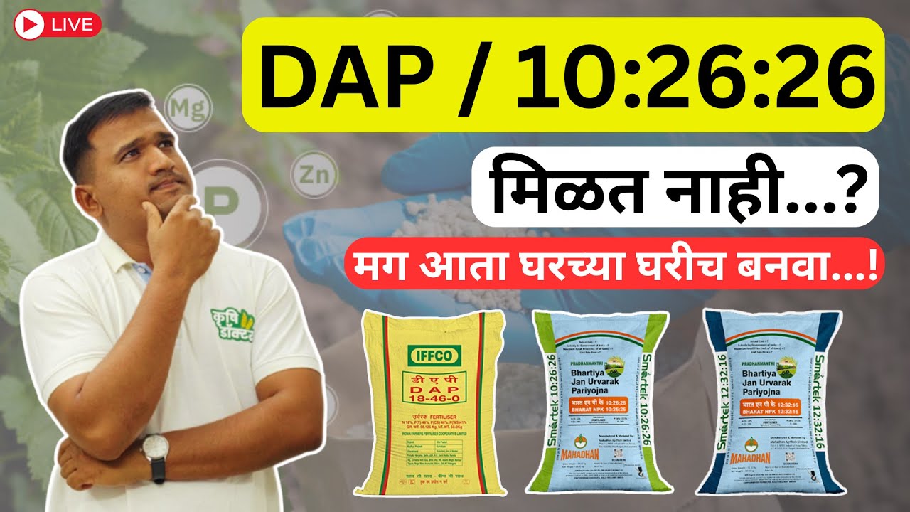 DAP/10:26:26 मिळत नाही? हरकत नाही | युरिया, SSP आणि पोटॅश पासून खते घरच्या घरीच बनवा | Krushi Doctor