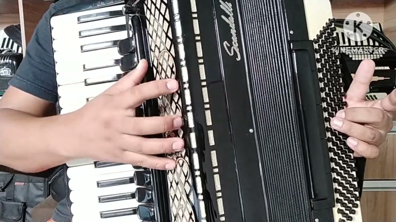 Vídeo Aula Acordeon 