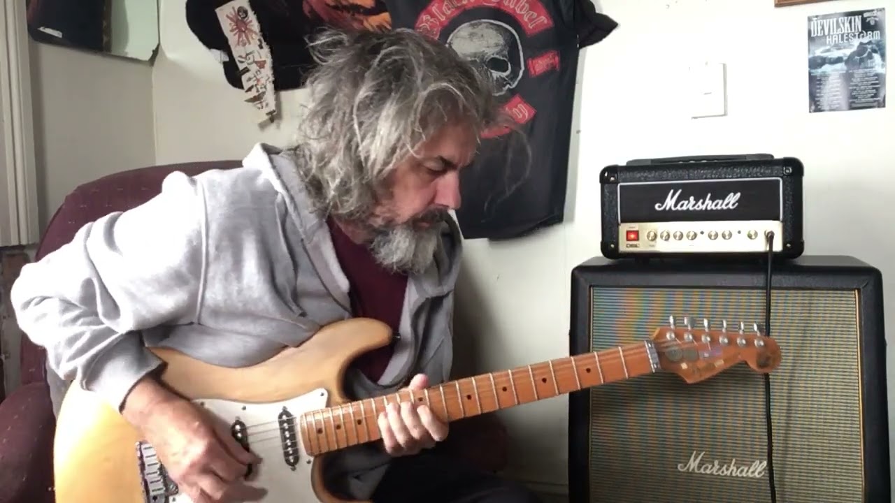 Venus ~ The Feelers (a tune a day)