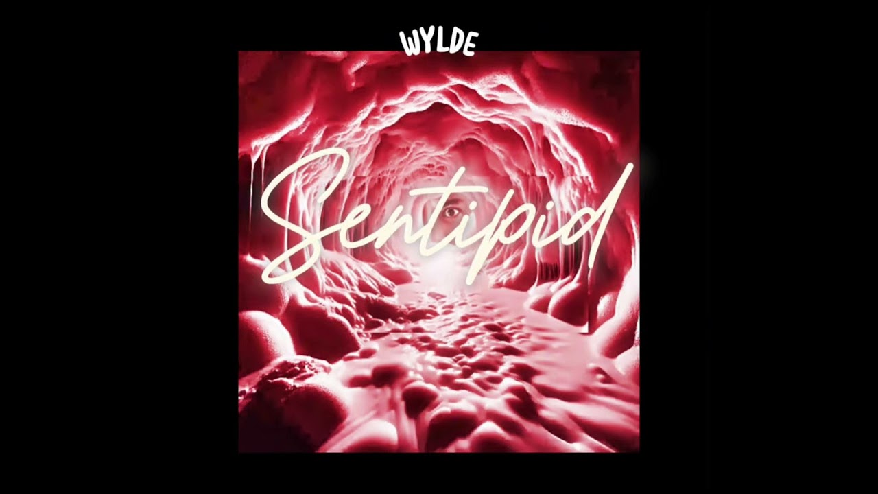 Kulisap  | wylde