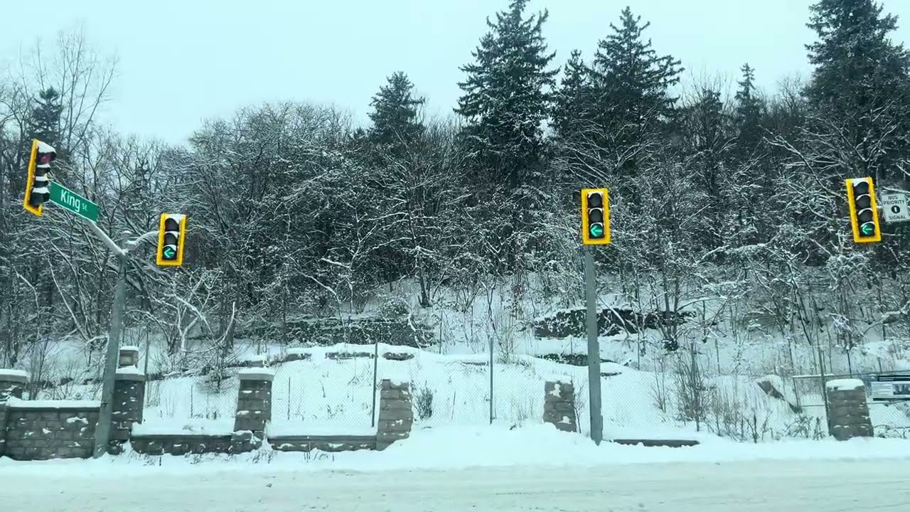 Massive Snowfall in Toronto ❄️ Streets, Schools, Offices Completely Shut! 15th January. 2026
